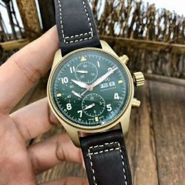 Picture of IWC Watch _SKU1747833975731531